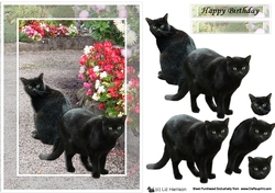 Black Cats Scene 3D Decoupage