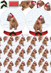 Shar Pei Christmas Snow Globe & Background