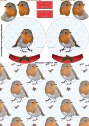 Robin Christmas Snow Globe Decoupage