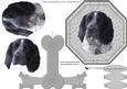 Cocker Spaniel Plate Shaped Card & Stand