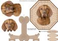 Hungarian Vizsla Plate Shaped Card & Stand