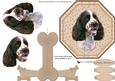 Springer Spaniel Plate Shaped Card & Stand