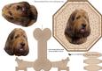 Italian Spinone Plate Shaped Card & Stand