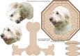 Labradoodle Plate Shaped Card & Stand