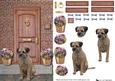 Border Terrier on a Door Step