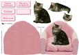 Tabby Kitten on a Pink Chair