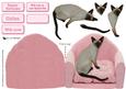 Siamese Cat on a Pink Chair