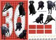 Black Labrador 30th Birthday Card
