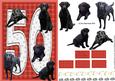 Black Labrador 50th Birthday