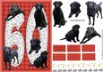 Black Labrador 60th Birthday Card