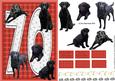 Black Labrador 70th Birthday Card