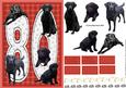 Black Labrador 80th Birthday Card