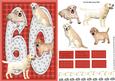 Golden Labrador 60th Birthday Card