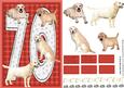 Golden Labrador 70th Birthday Card