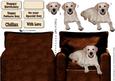 Golden Labrador Sat in a Chair