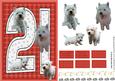 Westie 21st Birthday Card