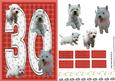Westie 30th Birthday Card