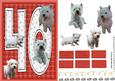 Westie 40th Birthday Card