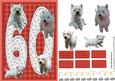 Westie 60th Birthday Card