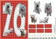 Westie 70th Birthday Card