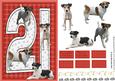 Jack Russell Terrier 21st Birthday Card