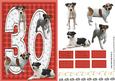 Jack Russell Terrier 30th Birthday Card