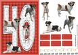 Jack Russell Terrier 40th Birthday Card