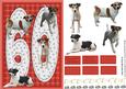 Jack Russell Terrier 60th Birthday Card