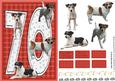 Jack Russell Terrier 70th Birthday Card