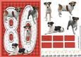 Jack Russell Terrier 80th Birthday Card