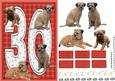 Border Terrier 30th Birthday Card