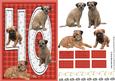 Border Terrier 40th Birthday Card