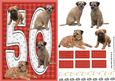 Border Terrier 50th Birthday Card