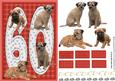 Border Terrier 60th Birthday Card