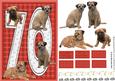 Border Terrier 70th Birthday Card