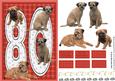 Border Terrier 80th Birthday Card