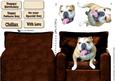 Bulldog Sat in a Chair