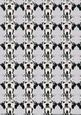 Dalmatian Dog Portrait Background