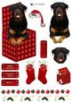 Rottweiler in a Christmas Box