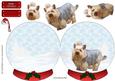 Yorkshire Terrier Christmas Snow Globe