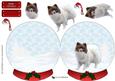 German Spitz Christmas Snow Globe