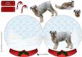 Schnauzer Christmas Snow Globe