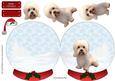 Dandie Dinmont Terrier Christmas Snow Globe