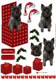 Cairn Terrier in a Christmas Box