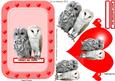 Owls with a Pop Out Heart Card