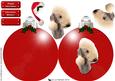 Bedlington Terrier Christmas Bauble 3D Decoupage