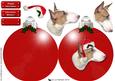 Bull Terrier Christmas Bauble 3D Decoupage