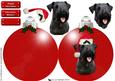 Cesky Terrier Christmas Bauble 3D Decoupage