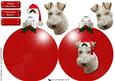 Fox Terrier,wire ,christmas Bauble 3D Decoupage
