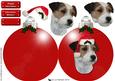 Parson Russell Terrier Christmas Bauble 3D Decoupage